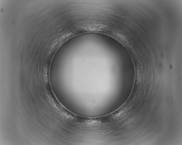 X0000052980453200507291556