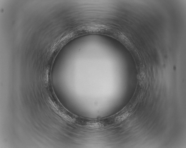 X0000052980454200507291556