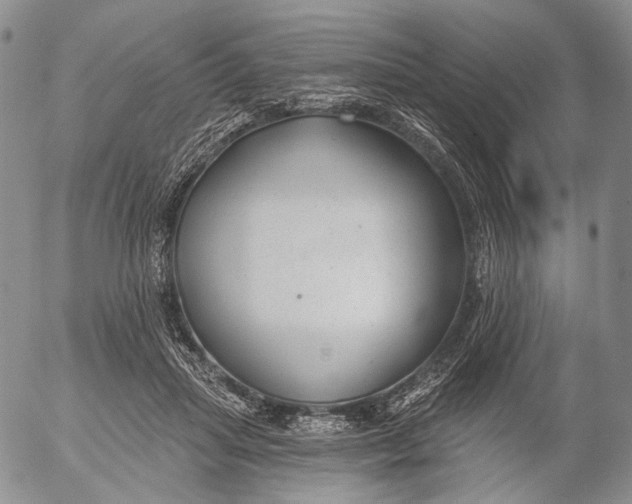 X0000052980455200507291556