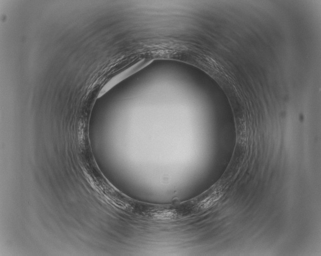 X0000052980456200507291556