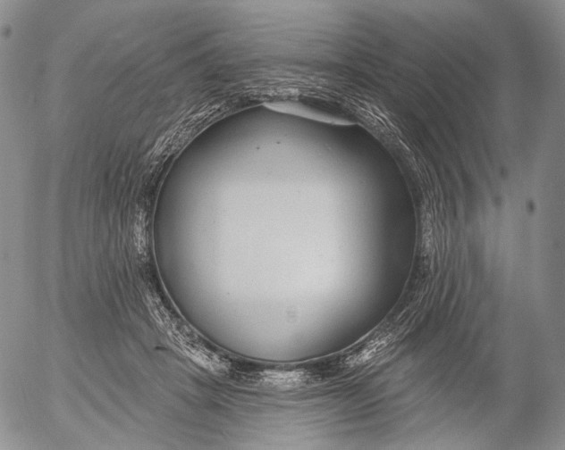 X0000052980457200507291556