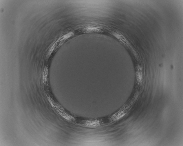 X0000052980458200507291556