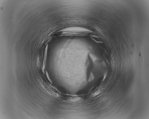 X0000052980459200507291556