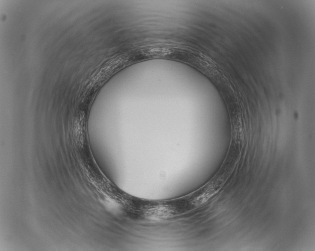 X0000052980460200507291556