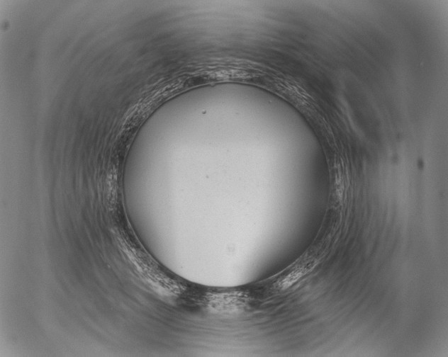 X0000052980461200507291556