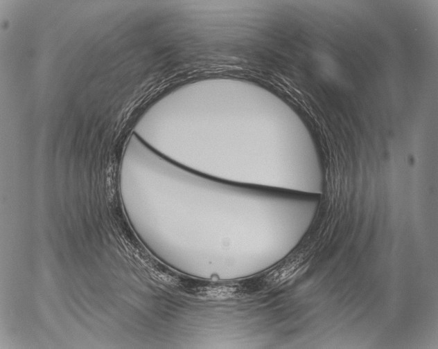 X0000052980462200507291556