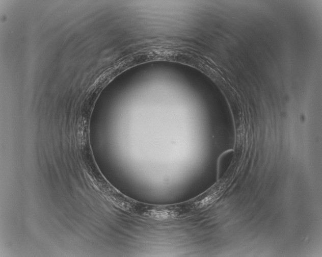 X0000052980464200507291556