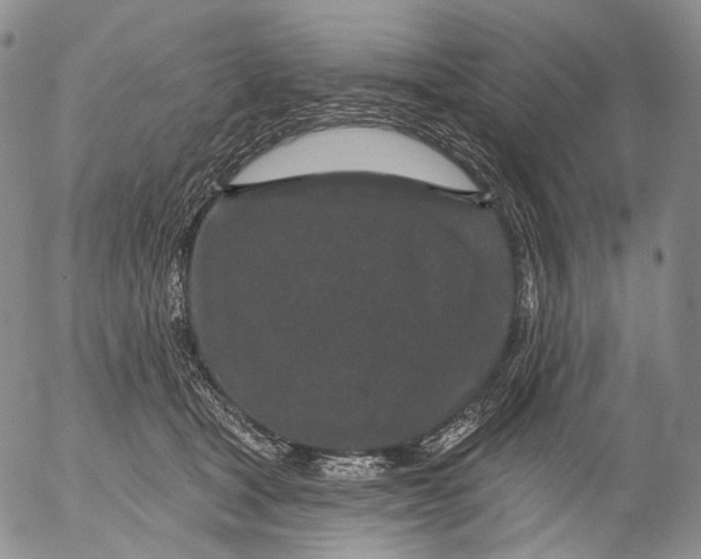 X0000052980465200507291556