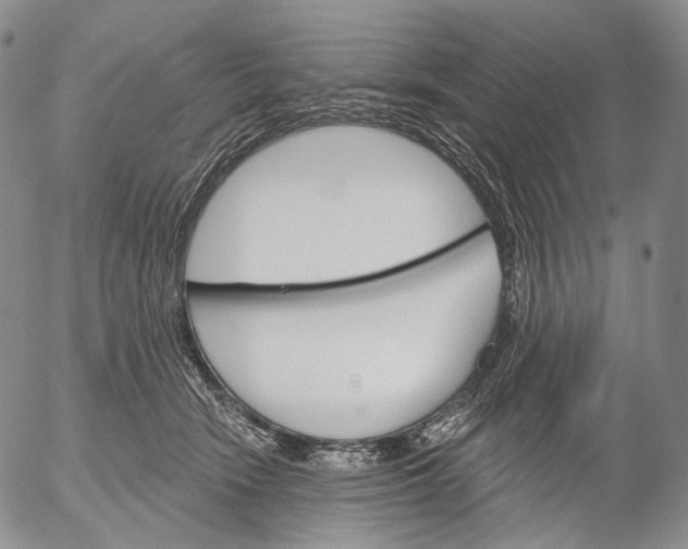 X0000052980466200507291556