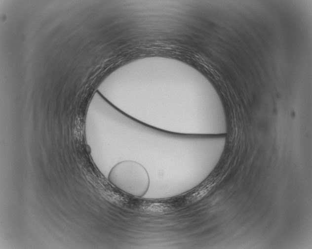 X0000052980467200507291556