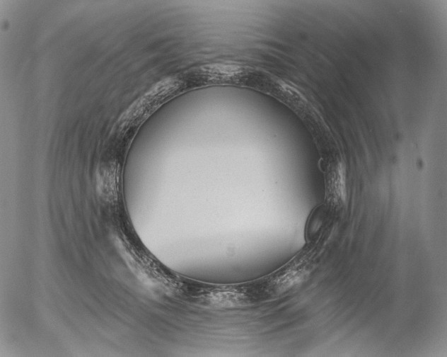 X0000052980468200507291556