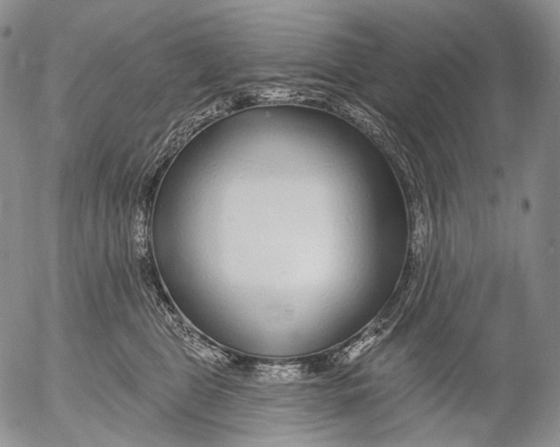 X0000052980469200507291556