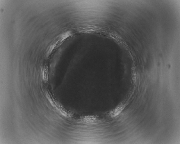 X0000052980471200507291556