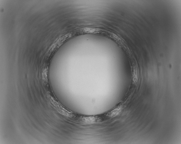 X0000052980473200507291556