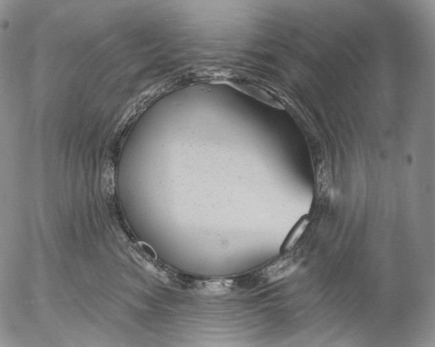 X0000052980474200507291556