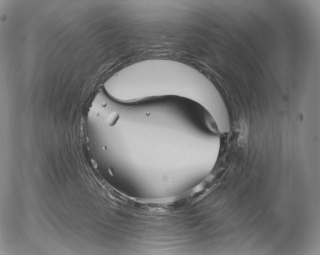 X0000052980475200507291556