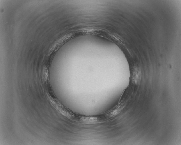 X0000052980476200507291556