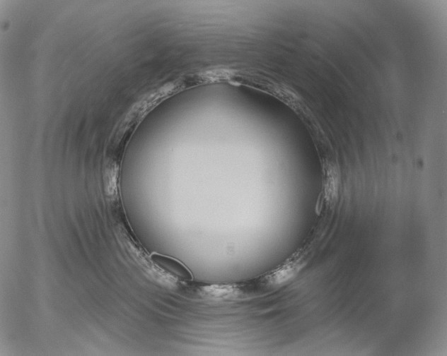 X0000052980477200507291556