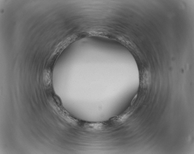 X0000052980478200507291556