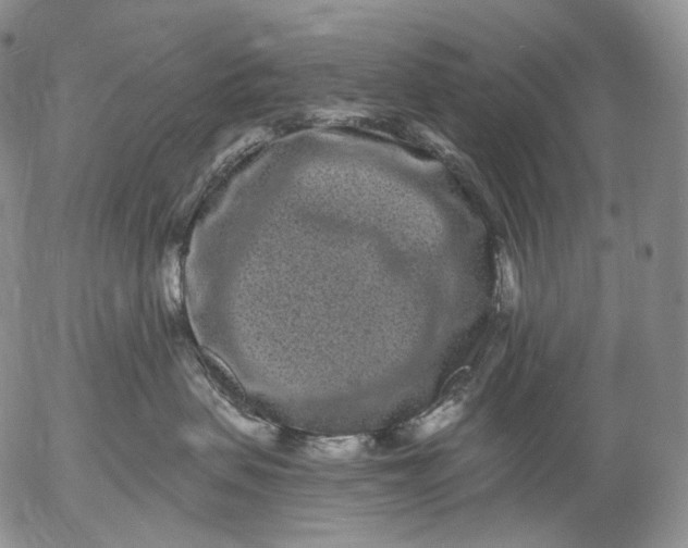 X0000052980479200507291556