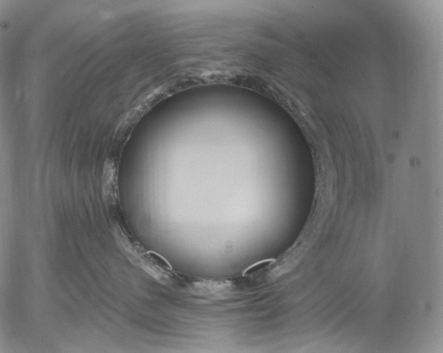 X0000052980480200507291556