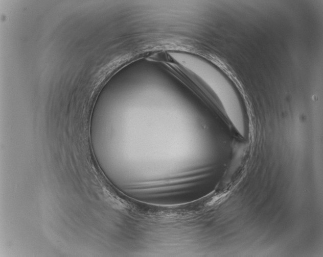 X0000052980481200507291555