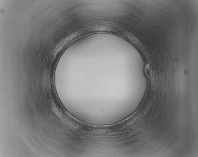 X0000052980482200507291555