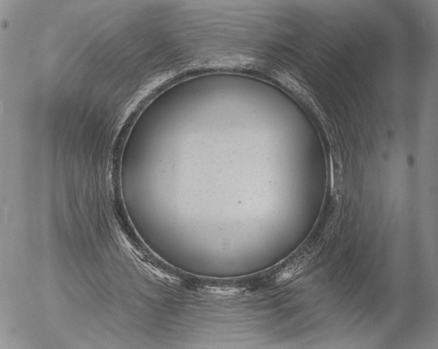 X0000052980483200507291555