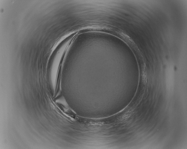 X0000052980484200507291555