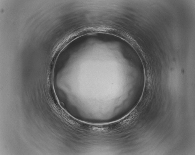 X0000052980487200507291555