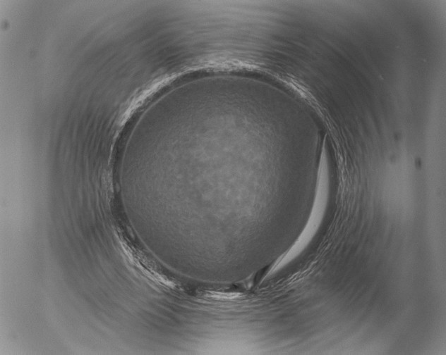 X0000052980488200507291555