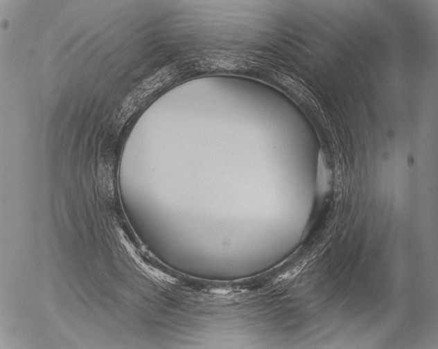 X0000052980489200507291555