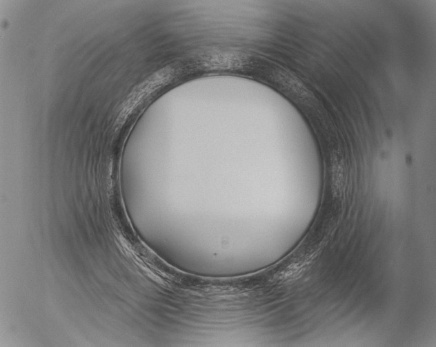 X0000052980490200507291555