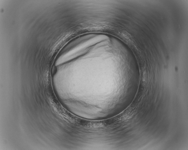 X0000052980491200507291555