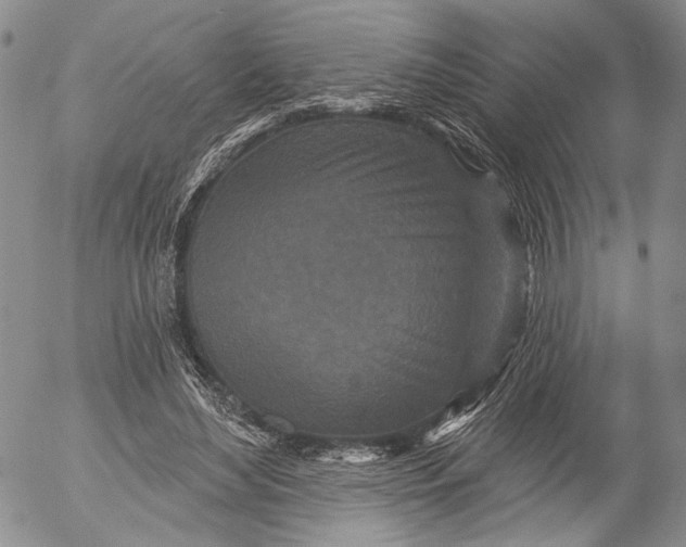 X0000052980492200507291555