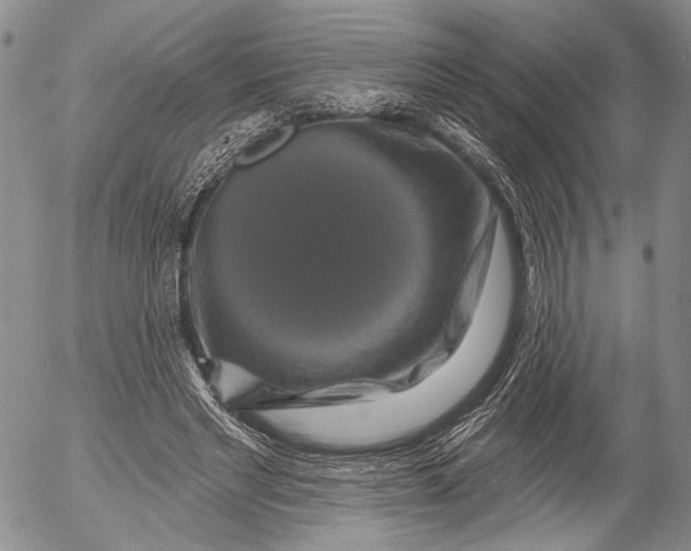 X0000052980493200507291555