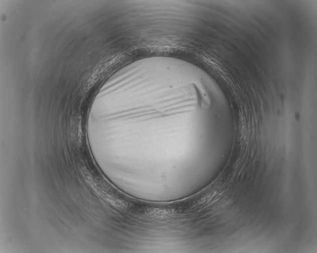 X0000052980494200507291555