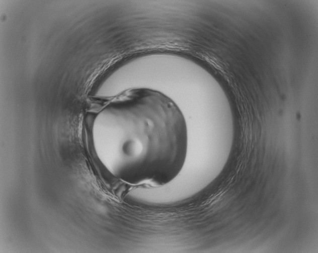 X0000052980495200507291555