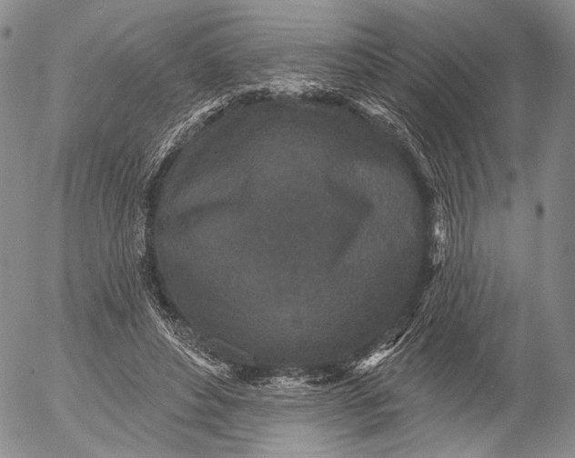 X0000052980496200507291555