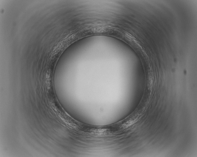 X0000052980497200507291555