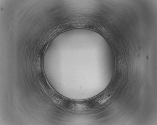 X0000052980498200507291555