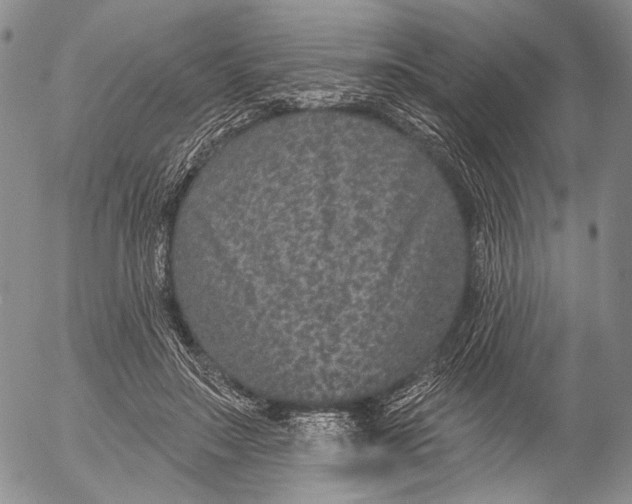 X0000052980499200507291555