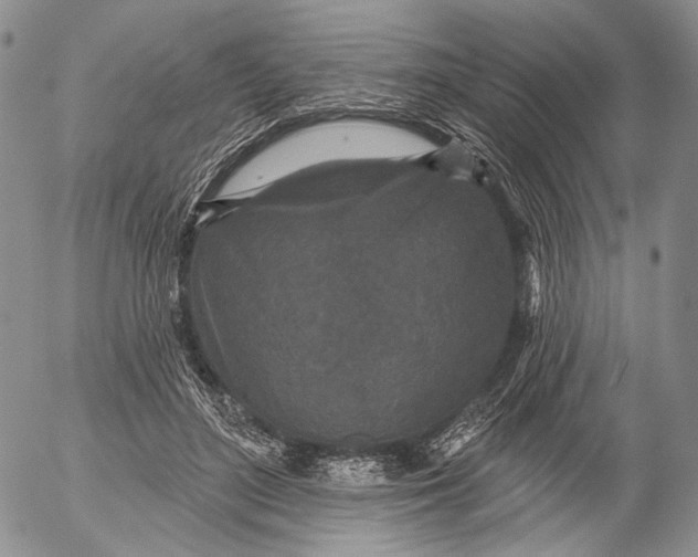 X0000052980500200507291555