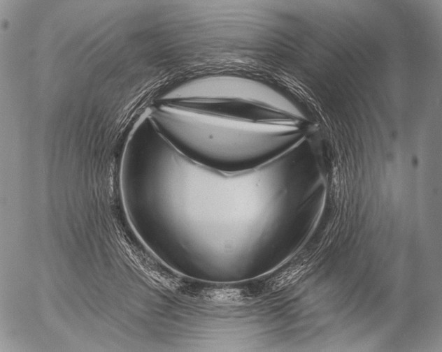 X0000052980501200507291555