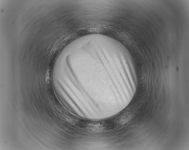 X0000052980502200507291555