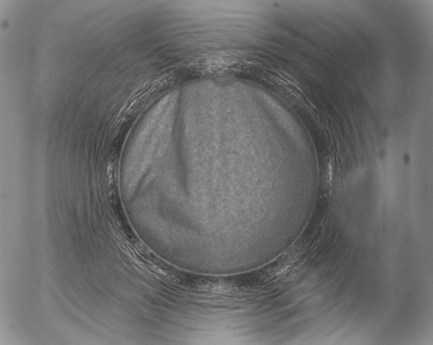 X0000052980503200507291555