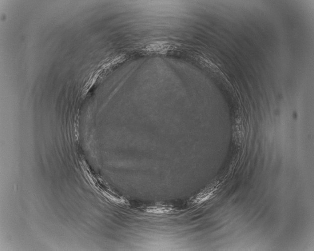 X0000052980504200507291555