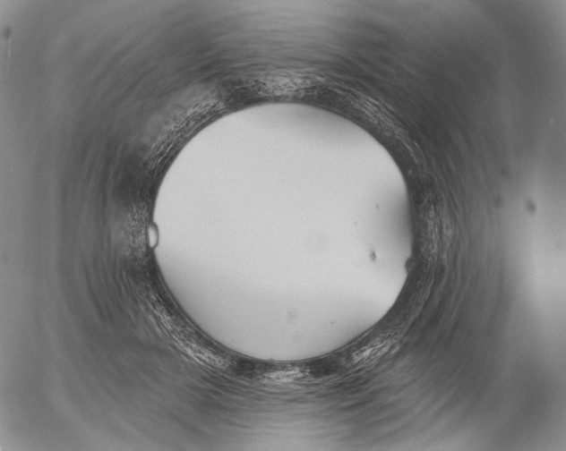 X0000052980505200507291555