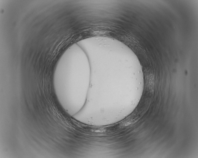 X0000052980506200507291555