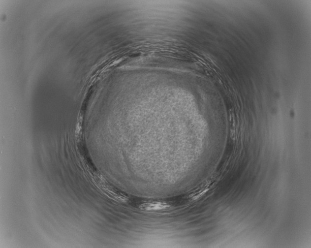 X0000052980507200507291555